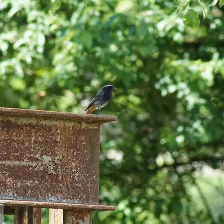 Kreimer-hof Apartament Auersbach