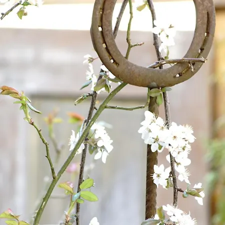 Kreimer-hof * Auersbach