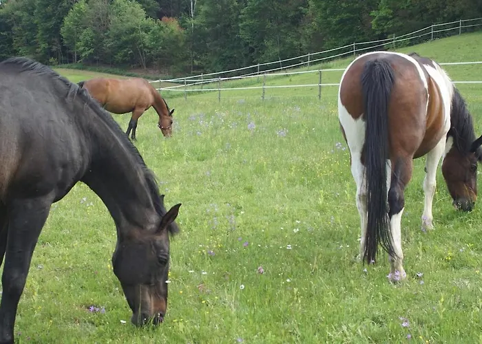 Apartmán Kreimer-hof