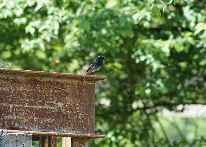 Kreimer-hof Apartmán Auersbach