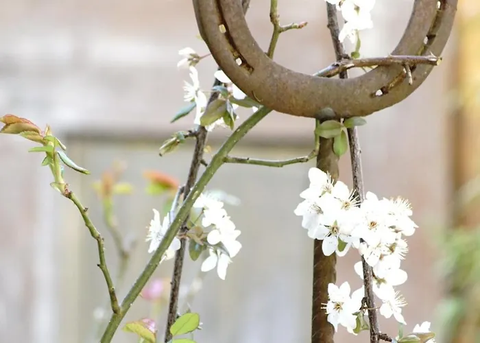 Kreimer-hof * Auersbach